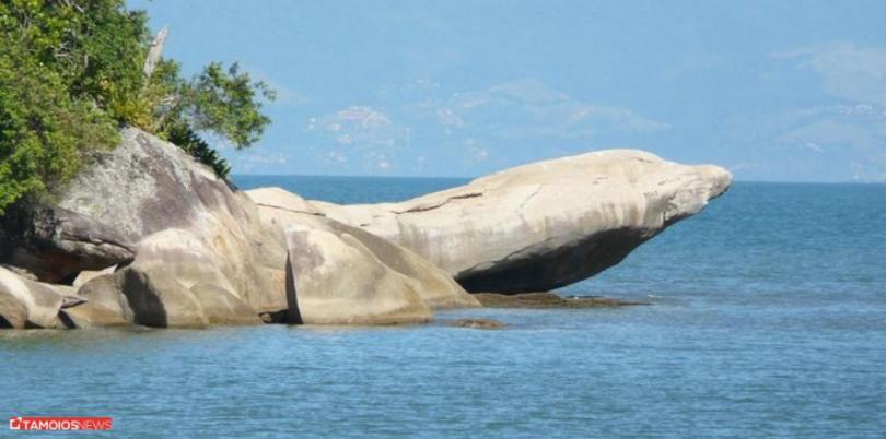 Apto Lindo E Aconchegante Com Piscina 202A Caraguatatuba Εξωτερικό φωτογραφία